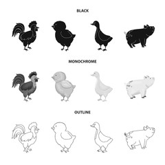 Vector illustration of breeding and kitchen symbol. Collection of breeding and organic vector icon for stock.
