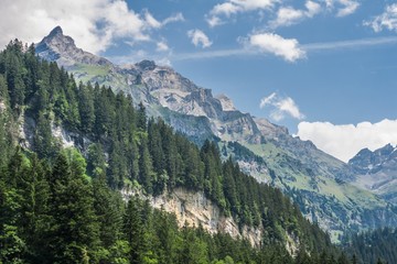 Obraz premium Beautiful swiss alps mountains. Alpine meadows. 