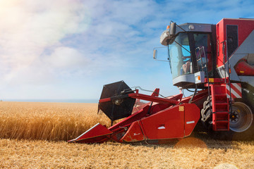 Fototapeta premium combine harvester in action in the fields