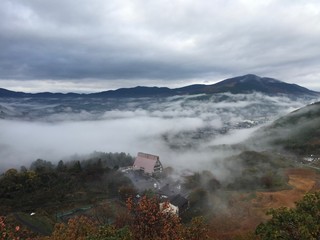 由布院の雲海