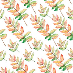 Watercolor seamless pattern autumn leaves and branches. Illustration for the textile pattern and wallpaper.