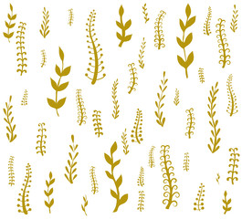 Vector set of autumn grass and flowers. Botanical collection