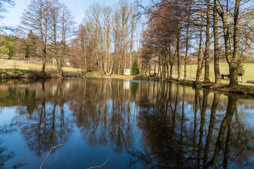 Fototapeta na wymiar small pond with trees mirroring on water ground and clear sky