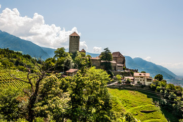 Fototapeta na wymiar Dorf Tirol, Schloss Tirol, Herrschaftsweg, Waalweg, Wanderweg, Vinschgau, Weinberge, Südtirol, Sommer, Italien