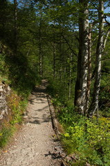 Hiking trail in Oetschergraben near to the Oetscher in Austria, Europe