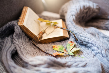 Fototapeta na wymiar Autumn still life. Open book, fallen leaves, spectacles and cozy sweater are on sofa in sunlight. Concept of enjoying reading, coziness.
