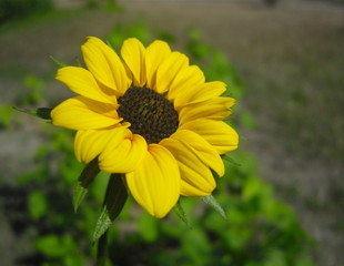 SAMSUNG DIGITAL CAMERA