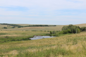 landscape with wheat field and blue sky