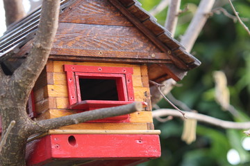 a good old birds house