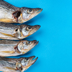 Top view of small of dry sea fish, smelt on the blue background. Fish pattern. Right copy space for text
