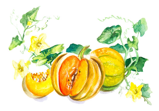 196,743 BEST Vegetable Drawings IMAGES, STOCK PHOTOS & VECTORS | Adobe