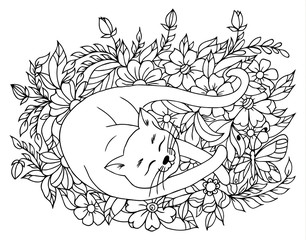 Vector illustration zentangl. A sleeping cat surrounded by flowers. Coloring book. Antistress for adults and children. The work was done in manual mode. Black and white.