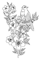 Vector illustration zentangl. A forest bird sits on a branch of a blossoming apricot. Coloring book. Antistress for adults and children. The work was done in manual mode. Black and white.