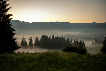Cansiglio , altopiano di montagna