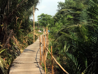 A way for connect with village inside the rain forest. The jungle path in tropical nature, Thailand