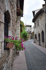 Stradina italiana in primo piano ad Assisi, Umbria, con fiori con effetto bokeh