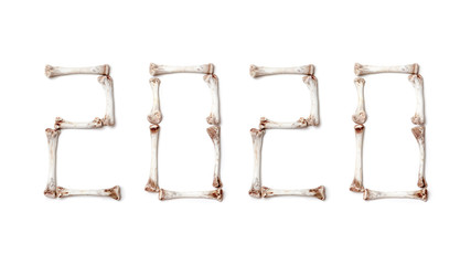 2020 year figures made up of chicken bones
