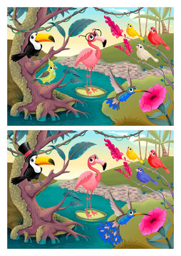 Spot the differences