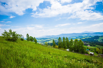Fototapeta na wymiar Green hillside in the village