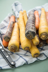 Bunte Urkarotte und Möhren in Lila, Orange und Gelb auf Geschirrtuch mit Messer auf Pastell Mint...