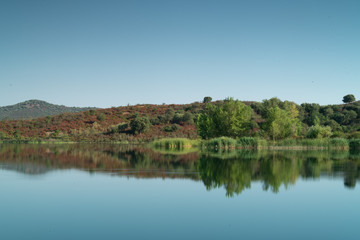 Fototapeta na wymiar Reeds and reflections in Lac de Padula, Corsica