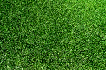 Foto op Plexiglas direct boven opname van vers groen gras of gazon © Christian Horz