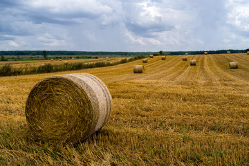 Żniwa na Podlasiu © podlaski49