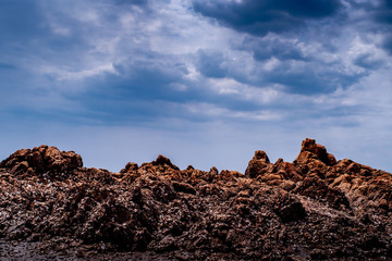 Obraz premium SONY DSC