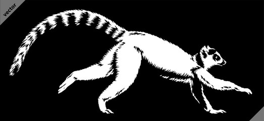 black and white linear paint draw lemur illustration art © Turaev