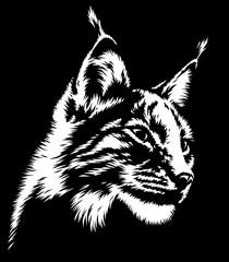 black and white linear paint draw lynx illustration art © Turaev