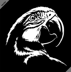 black and white linear paint draw parrot illustration art