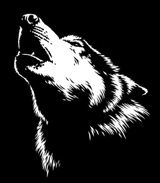black and white linear paint draw Wolf illustration art