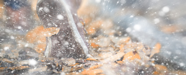 Winter park a man walks along a path foliage