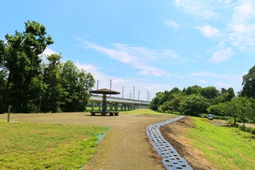 風景　空　公園　緑　夏　高架橋　杤木