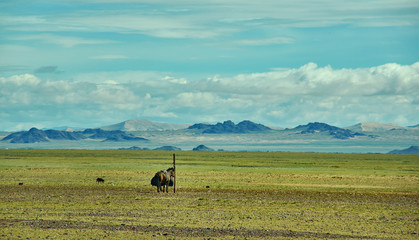 Mountain plateau in the area Zavkhan River