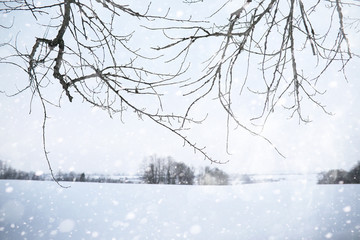 Winter landscape of country fields and roads