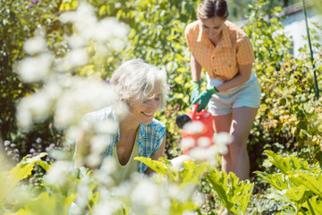 Senior and young woman gardening together