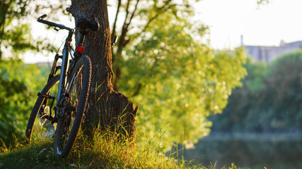 Mountain bike is in the woods at sunset . Summer active lifestyle. Bike ride. Copy space