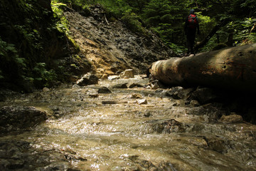Stream peacefully and slowly flowing through the forest areas of the Slovak Paradise National Park
