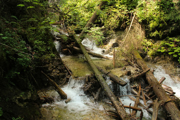 A wet trail running through streams in the Slovak Paradise National Park