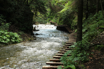 A wooden footbridge running along a larger stream in the Slovak Paradise National Park