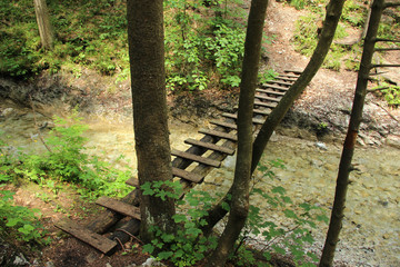 A wooden footbridge running along a larger stream in the Slovak Paradise National Park