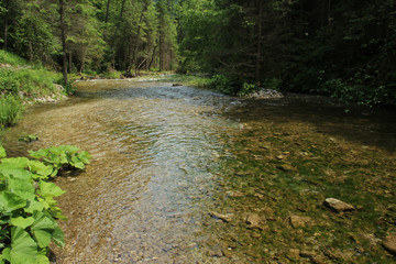 The river flows through the areas of the Slovak Paradise National Park
