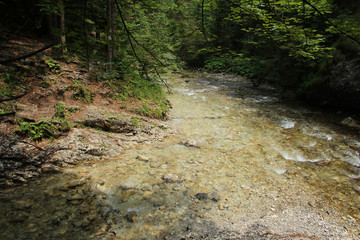 The river flows through the areas of the Slovak Paradise National Park