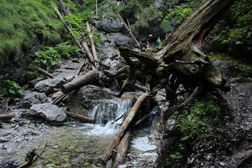 Fototapeta premium A wet trail running through streams in the Slovak Paradise National Park