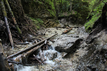 A wet trail running through streams in the Slovak Paradise National Park