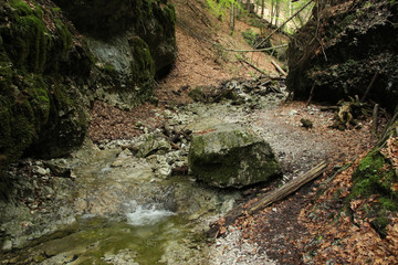 A wet trail running through streams in the Slovak Paradise National Park
