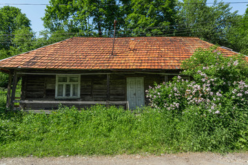 Fototapeta na wymiar Old abandoned wooden house. In Lelskoy area in Ukraine