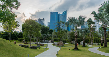 Downtown view from beautiful green city park at dawn.