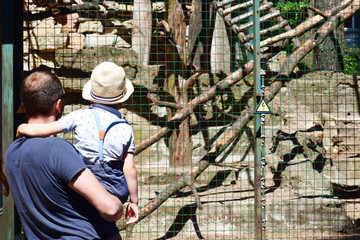 Obraz na płótnie Canvas Father holding his little son in hands and looking through wire fence outdoors in zoo in summer day, back view.